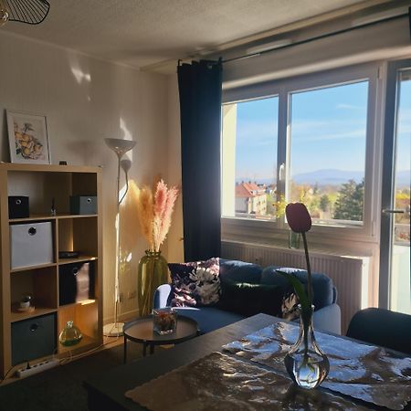 Studio Kaan Avec Terasse 5Mn Basel Airport Saint-Louis  Ngoại thất bức ảnh